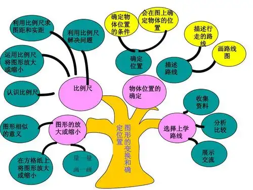 六年级上册数学第五单元知识树解说