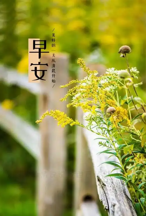 早安心语温暖语句,早安说说图片大全唯美图片