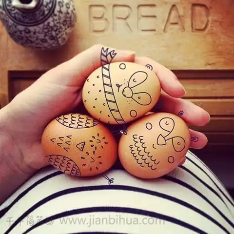 给鸡蛋作画插画鸡蛋上的小可爱