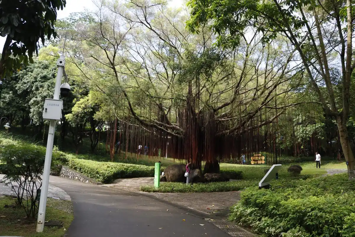 沙头角海山公园