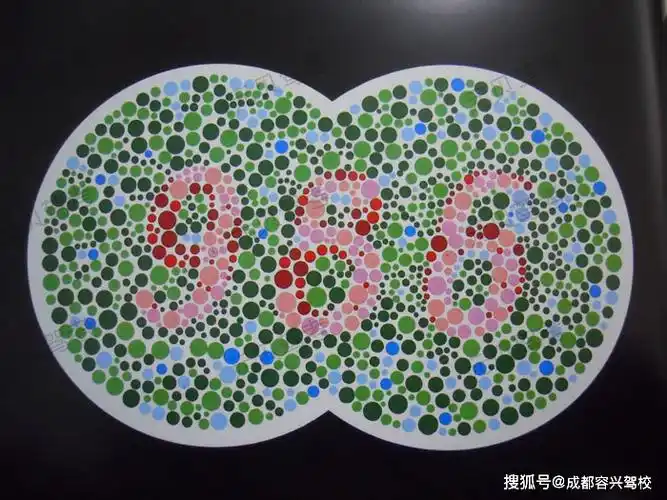 成都学驾照体检有什么要求?(内附色盲测试)