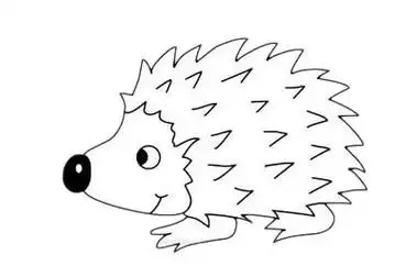 刺猬简笔画的画法步骤图解教程及图片大全