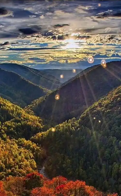 人生如梦,年华似水,一个转身便是一个光阴的故事,一眼回眸便是一处