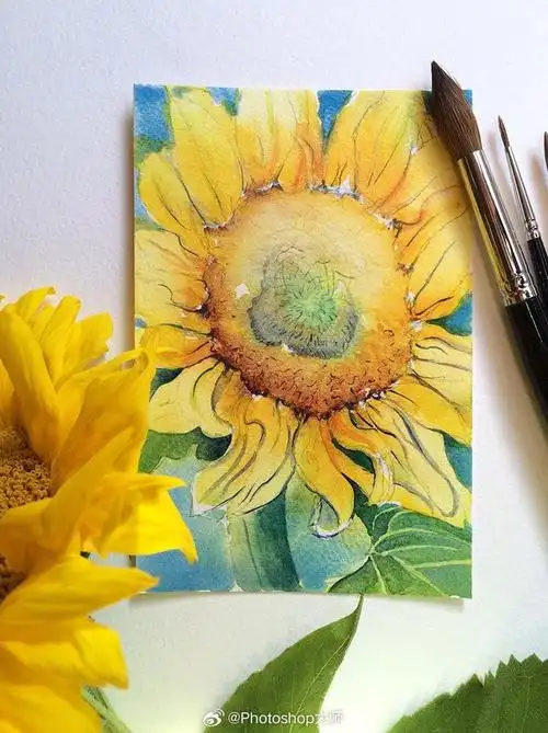 清新水彩画 | 96zoya makarova