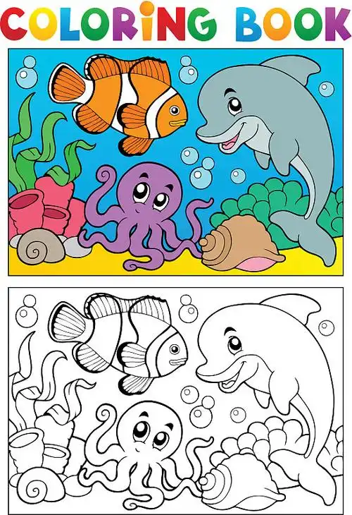 用海洋动物填色书图片