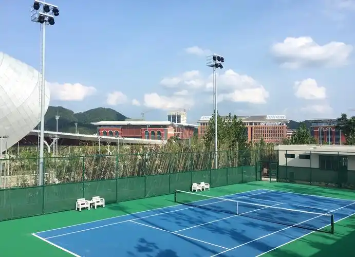 王蔷获东京奥运会门票其余名将呢网球场照明应如何设计