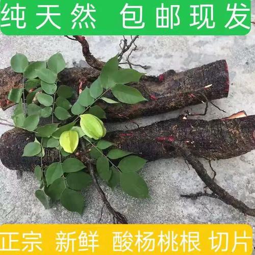 杨桃正宗树根野生五敛现挖500克其他药食同源食品