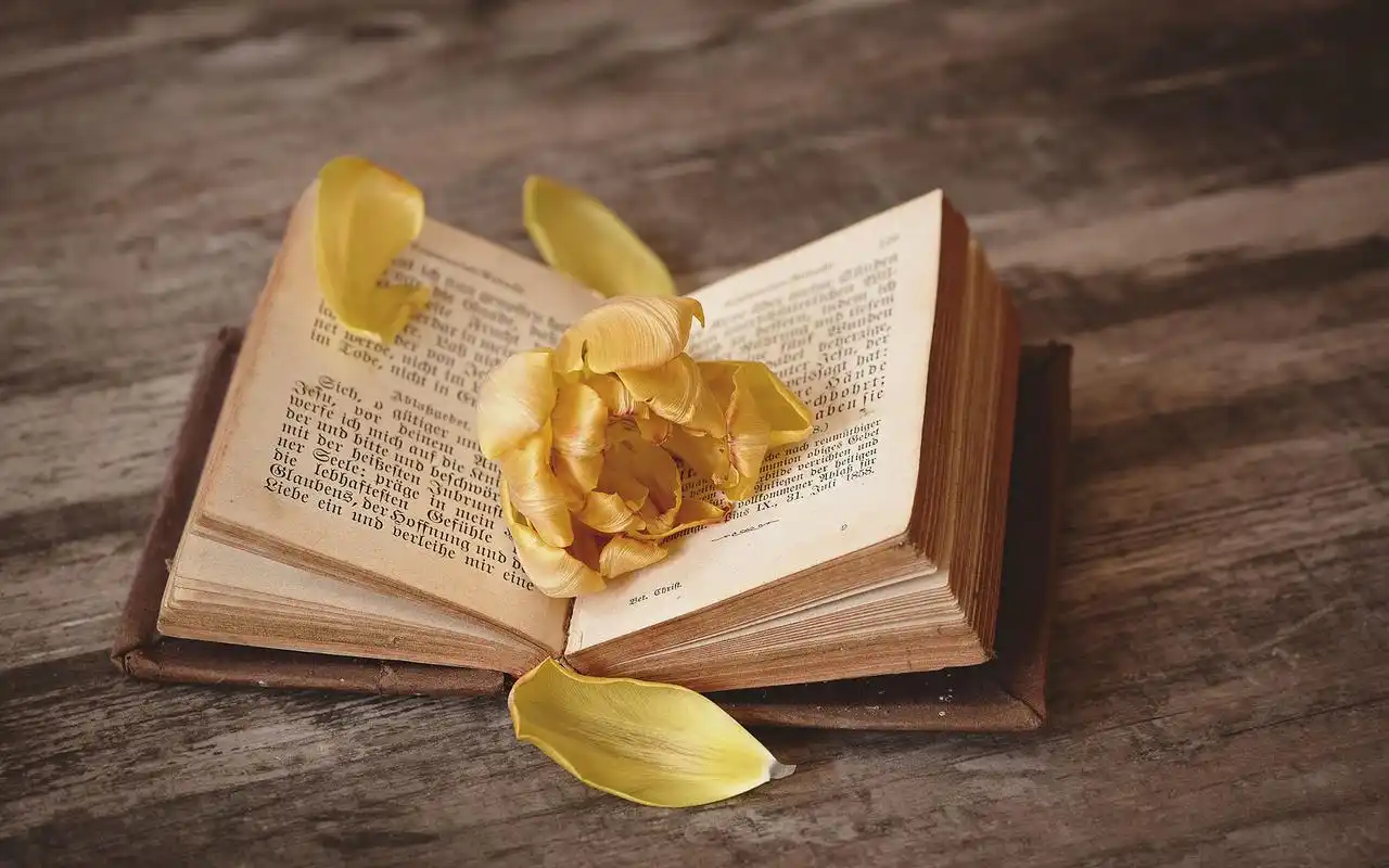 文艺有意境的唯美图片桌面壁纸高清大图预览1920x1200_风格壁纸下载_