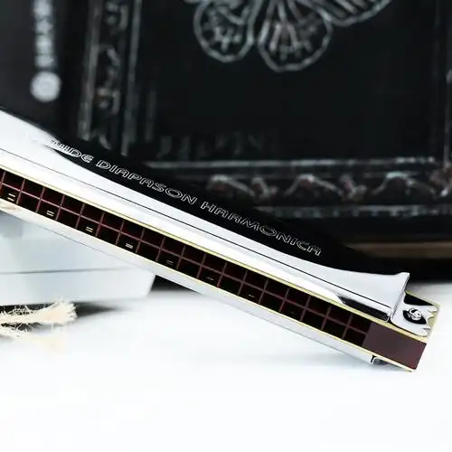 天鹅口琴复音重音28孔宽音域c调初学者成人比赛专业演奏乐器