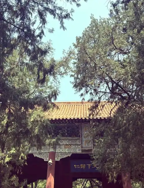 97泰山老奶奶庙位置揭秘99