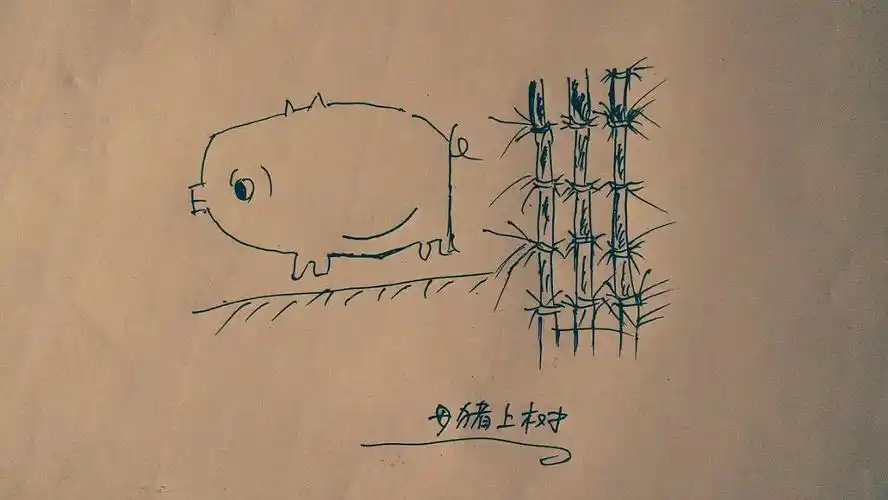 母猪都能上树,还在犹豫什么!