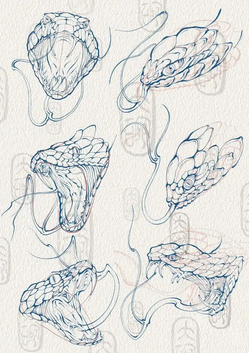 今天抽时间分享一下新传统蛇头的画法,我之前 - 抖音