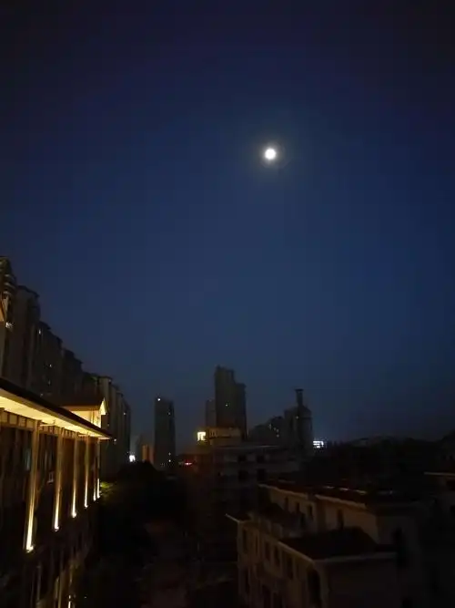 夹带着车水马龙 歌厅里走音跑调 闹市里的大声喧哗 城市的月光 没有