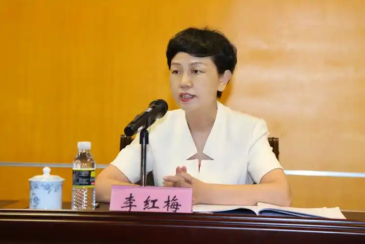 李红梅书记在会上讲话