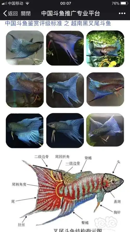 【斗鱼】国斗美图搬运工