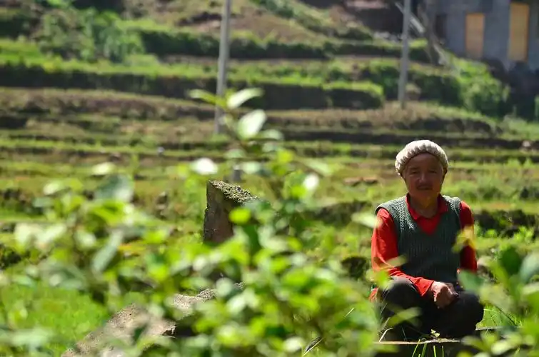 留守农村的老人们(二).