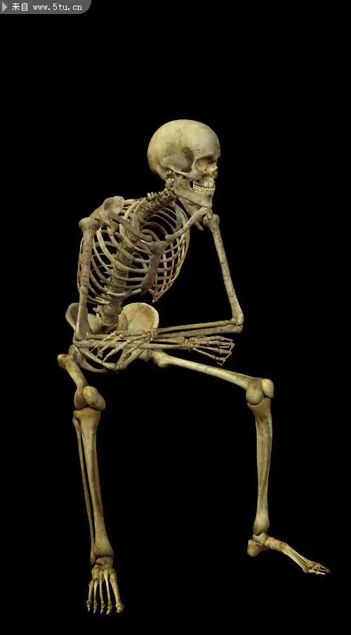 骷髅人图片人体骨骼结构图