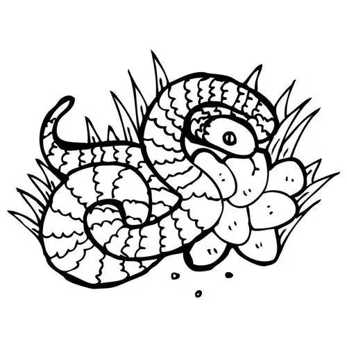 蛇窝蛋图,向量,在窝里的蛋的插图在白色背景上的蛇