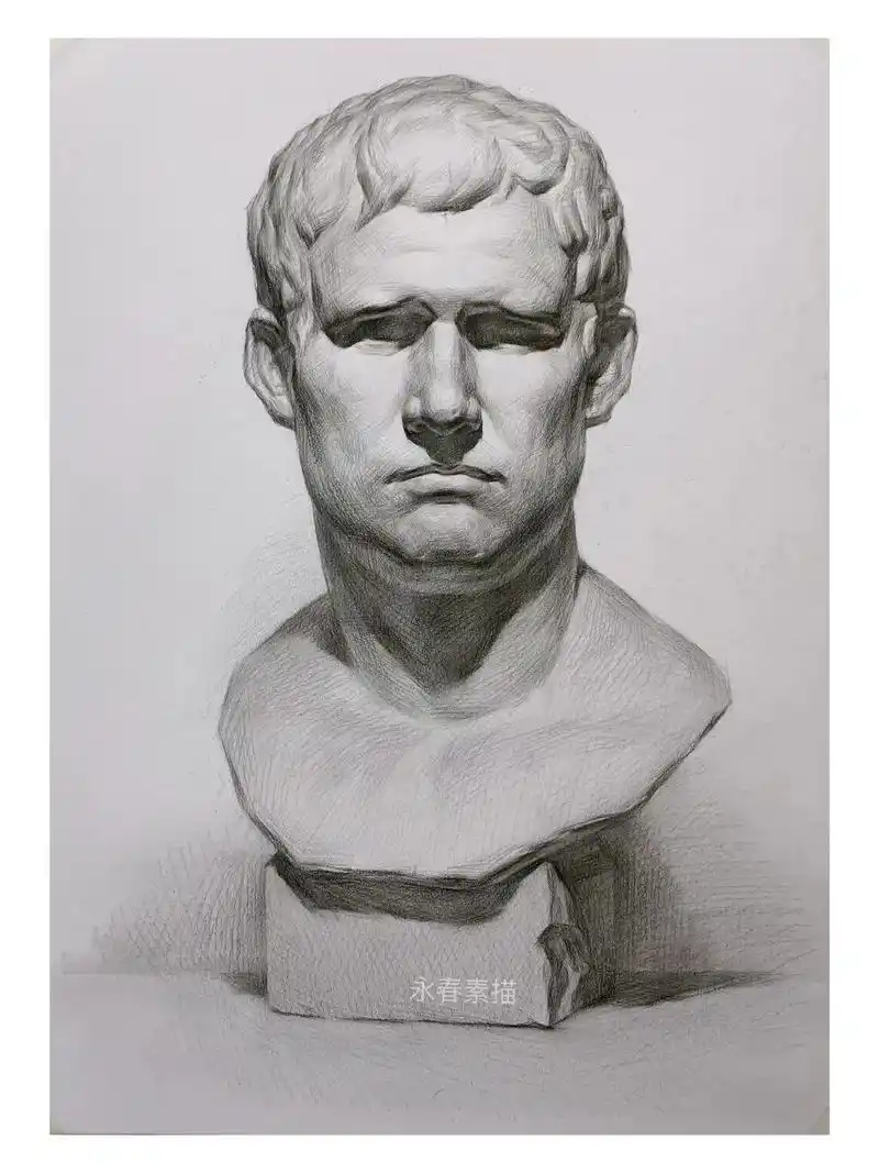 素描静物石膏头像 阿格里巴 完整画面步骤.#零基础学画画 # - 抖音