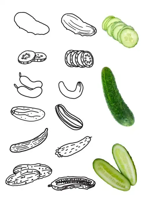 黑白简笔画教程:黄瓜