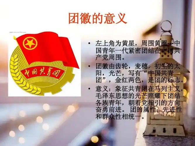 意义:象征共青团在马列主无忧文档 所有分类 经管营销 销售/营销