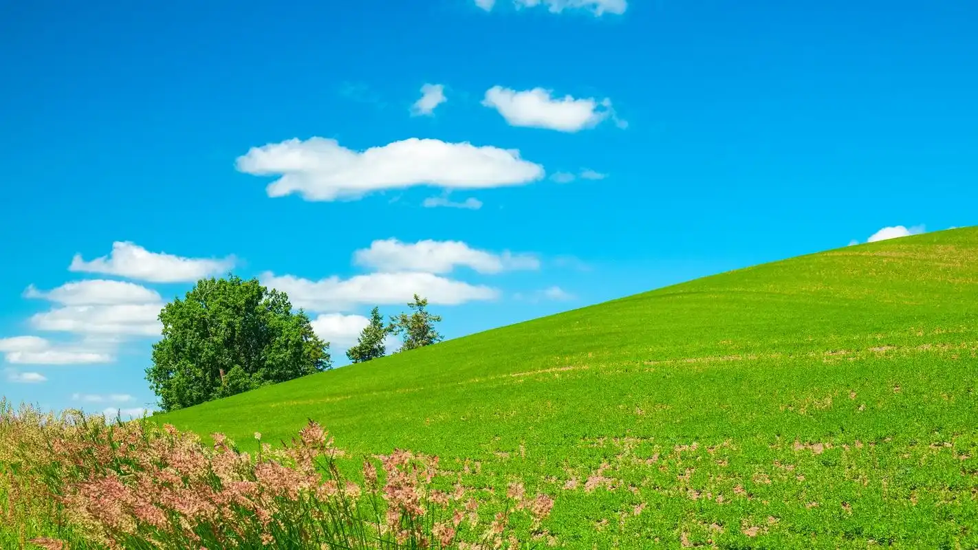 蓝天绿草地清新护眼高清桌面壁纸下载高清大图预览1920x1080_风景壁纸
