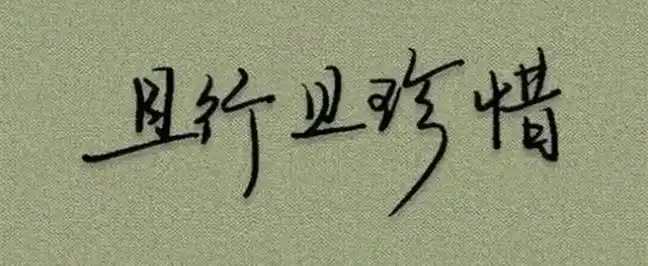 且行且珍惜是什么意思