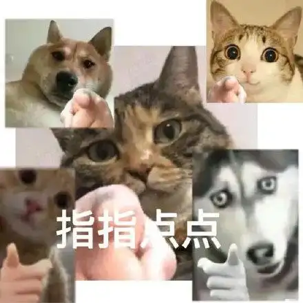 指指点点(猫咪狗勾指人表情包)_猫咪_指人表情