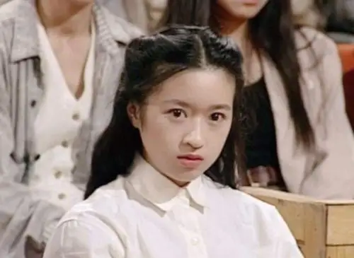 她单纯,乖巧,爱学习,从来不惹事生非,从来不让人操心,后来却被丁益蟹