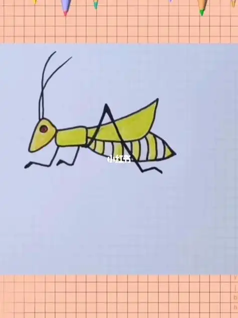 简笔画 - 懂得蝗虫简笔画涂色蝗虫简笔画机械蝗虫简笔画画一个小蚂蚱