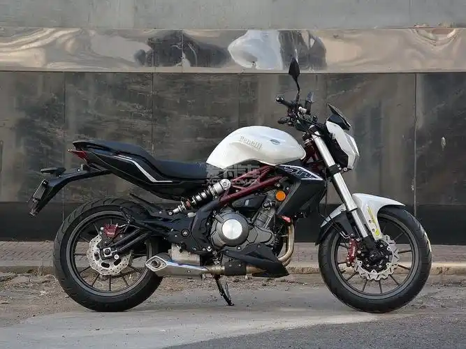 贝纳利;钱江贝纳利;bn302;蓝宝龙;小黄龙