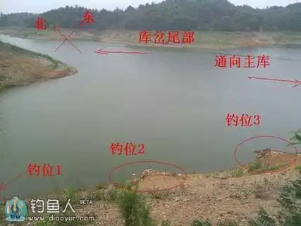 在水库钓鱼选钓位的示意图 [多图]