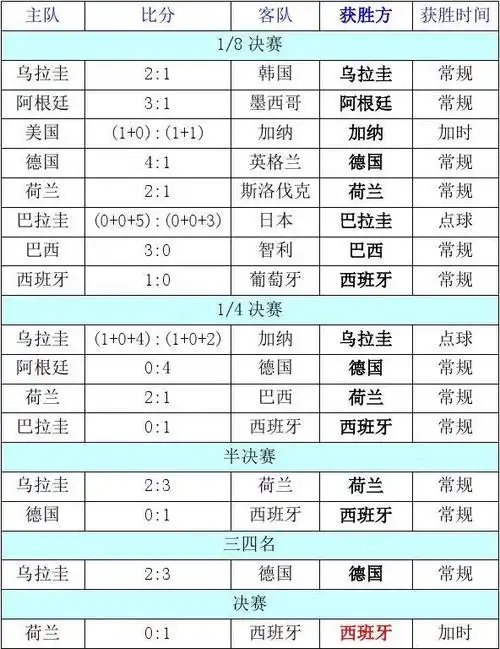 2010年南非世界杯战况