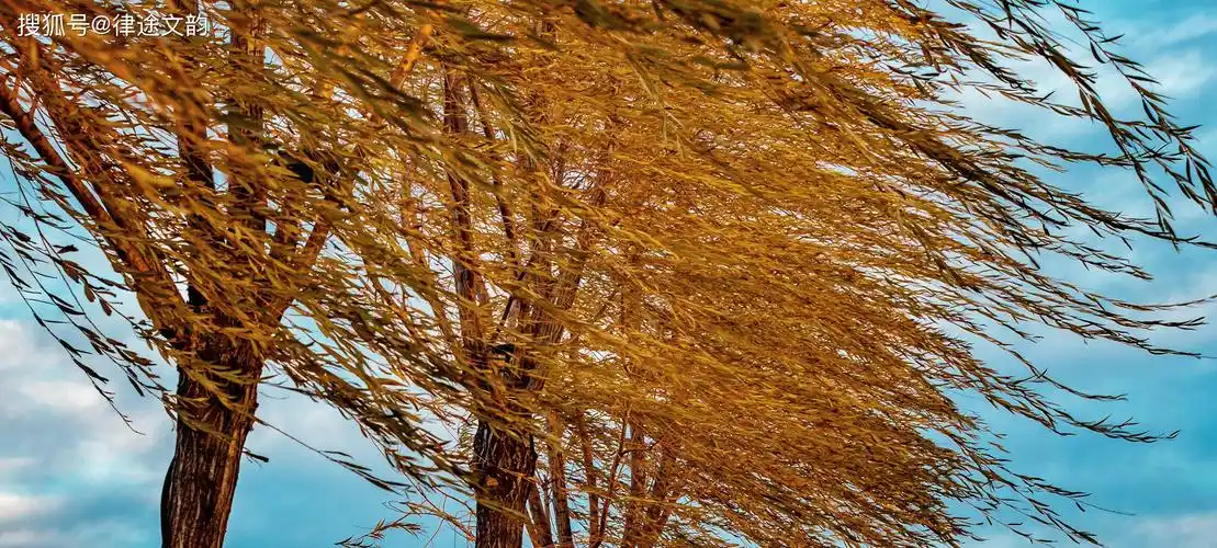 律途文韵:冬日的风