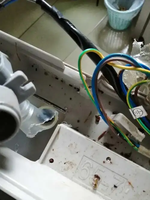 全自动洗衣机漏水
