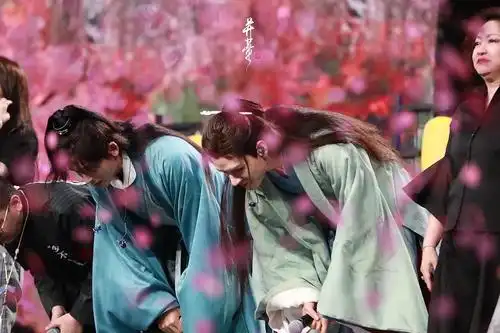 浪浪钉是整个春天的奇迹但爱还在延续