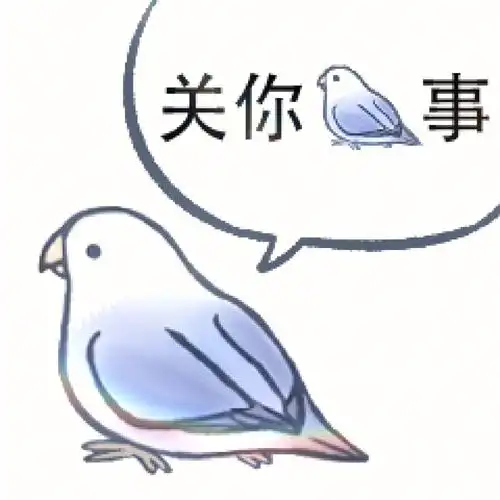 小鸟表情包第二弹