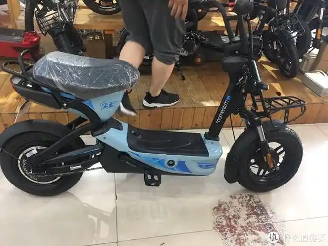 入手捷安特莫曼顿133d新国标电动车—全网第一晒_值客原创_第5页_什么