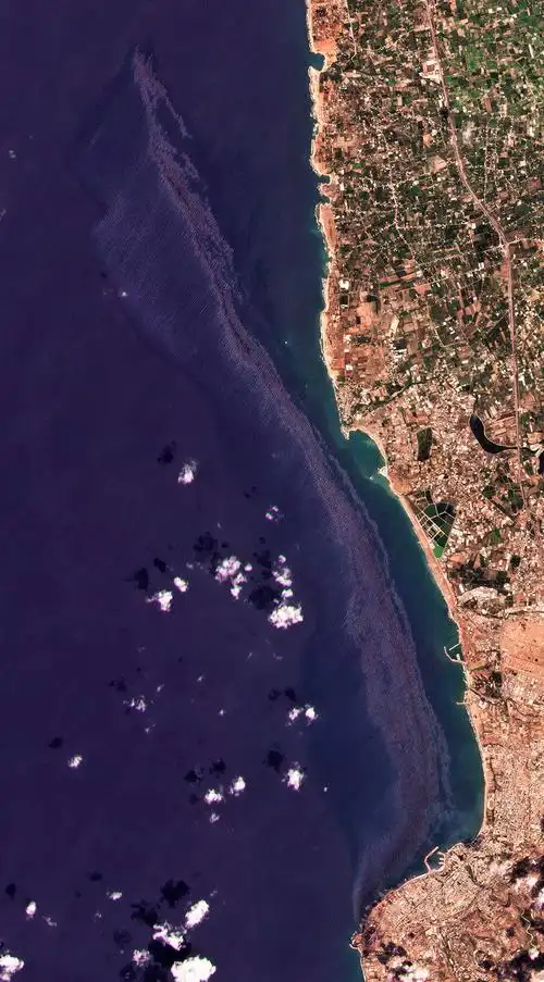 外媒叙利亚石油泄漏污染地中海油污今或到达塞浦路斯