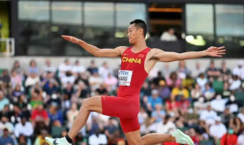 在成为跳远运动员后,王嘉男取得过多项成就.