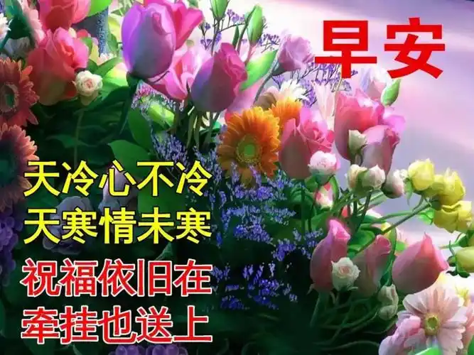 祝福总是在清晨就开启亲早上好天虽冷冷但祝福暖暖