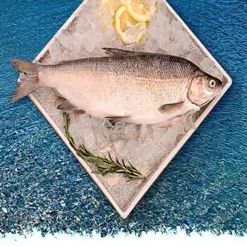 博州馆赛湖新疆有机高白鲑鱼赛里木湖冷水鱼冰鲜野生淡水生鲜鱼类整条