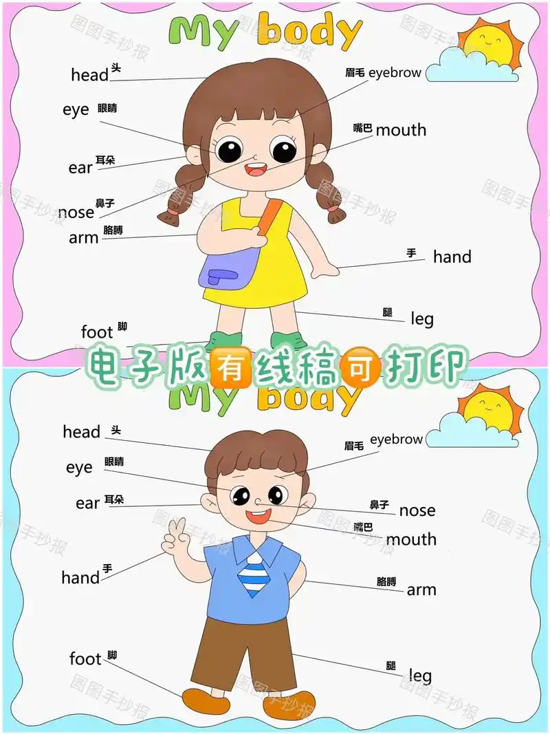 my body我认识我的身体部位儿童画.#创作灵感 #手抄报 - 抖音