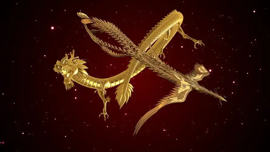 龙飞凤舞的意思视频