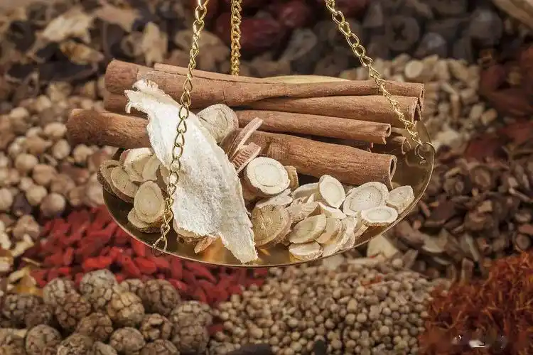 杨茂锐话说苗医苗药