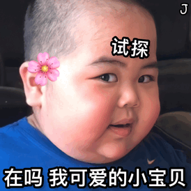 小胖子表情包有本事你就来广东打我哈哈