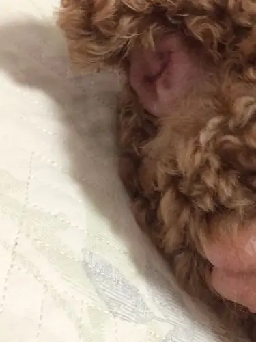 搽了点药,一个小时后回家身上有点白色颗粒