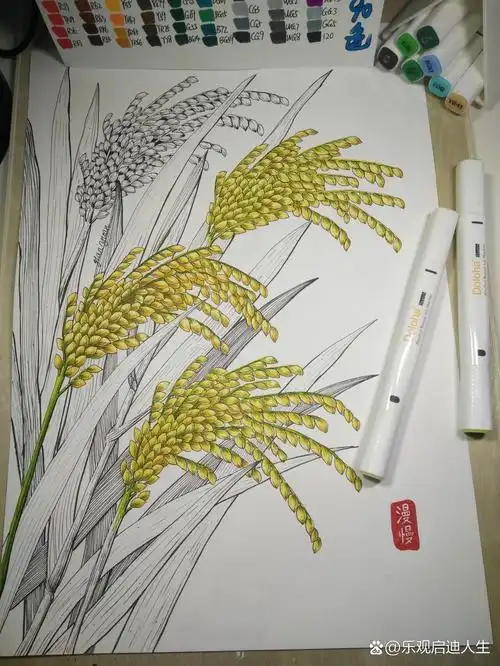 水稻绘画马克笔线描插画装饰画儿童画原创 谁知盘中餐,粒粒皆辛苦.