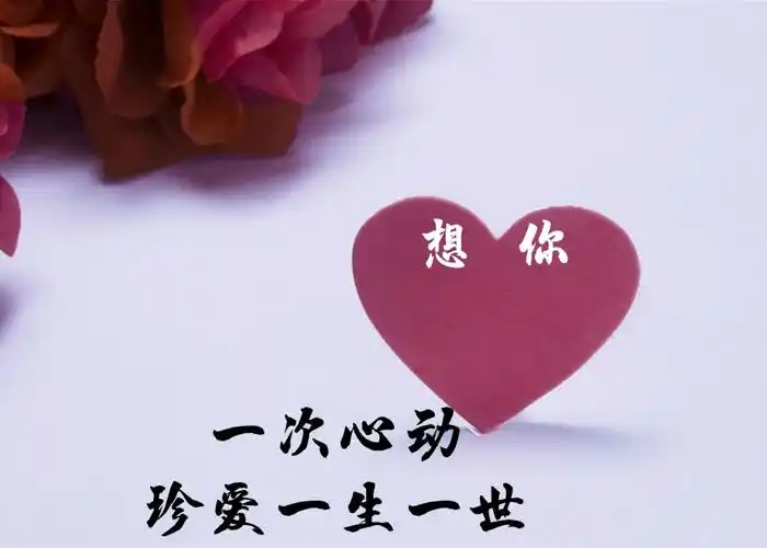 真爱,是一辈子的共鸣;想你,出于内心的这份情,永远都不会改变