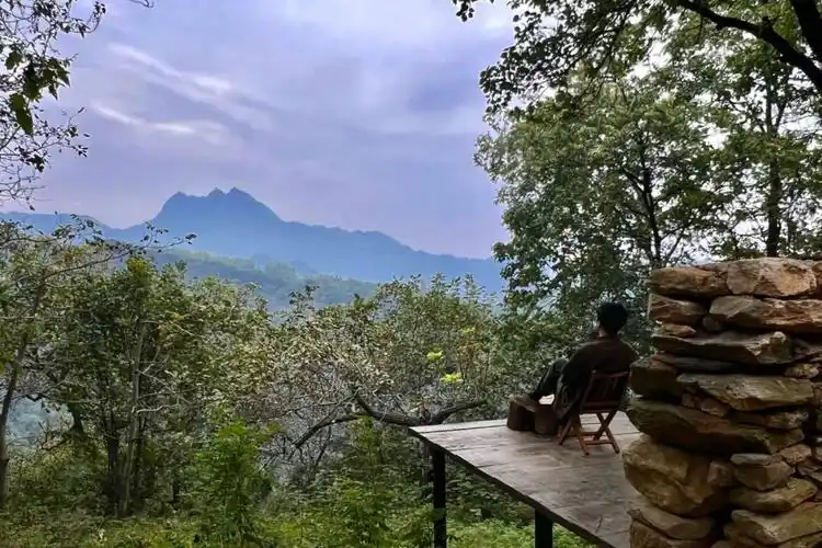 那些辞职去山里隐居的人,90%后悔了